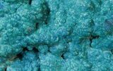 Botryoidal Blue Chrysocolla - Congo #45275-1